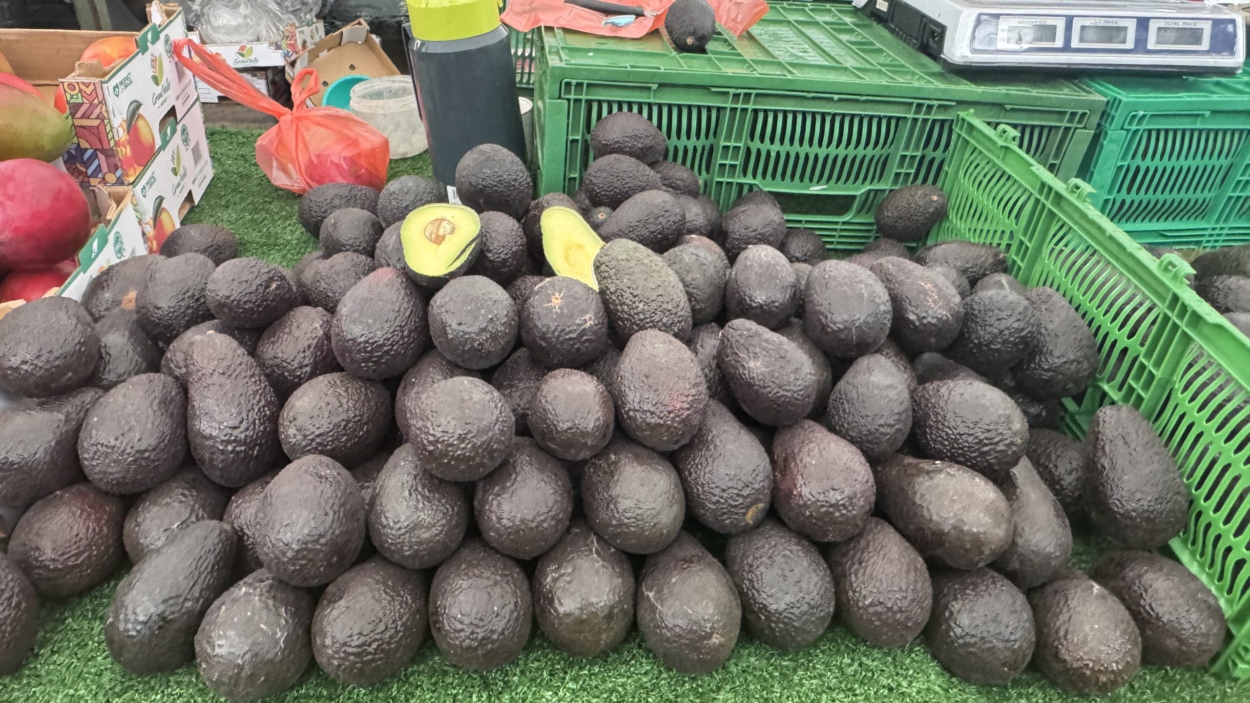 Alerta por cadmio en paltas peruanas podría tensionar el mercado chileno