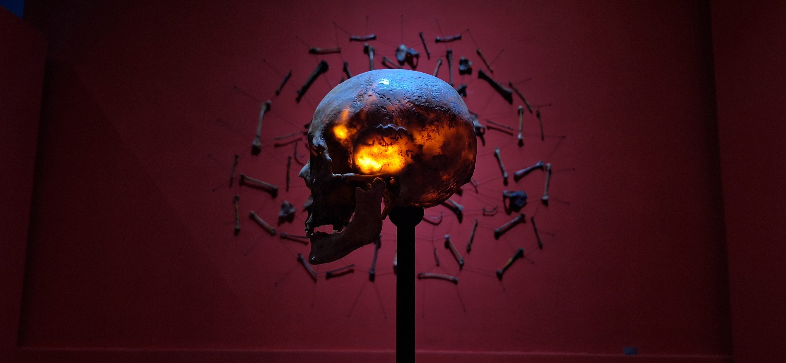 La belleza y la furia: antología de Arturo Duclos en Matucana 100